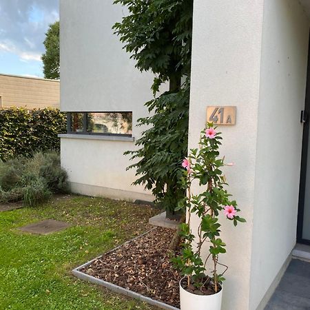 La Suite Cosy - Votre Pause Arboree La Bruyere Exteriör bild