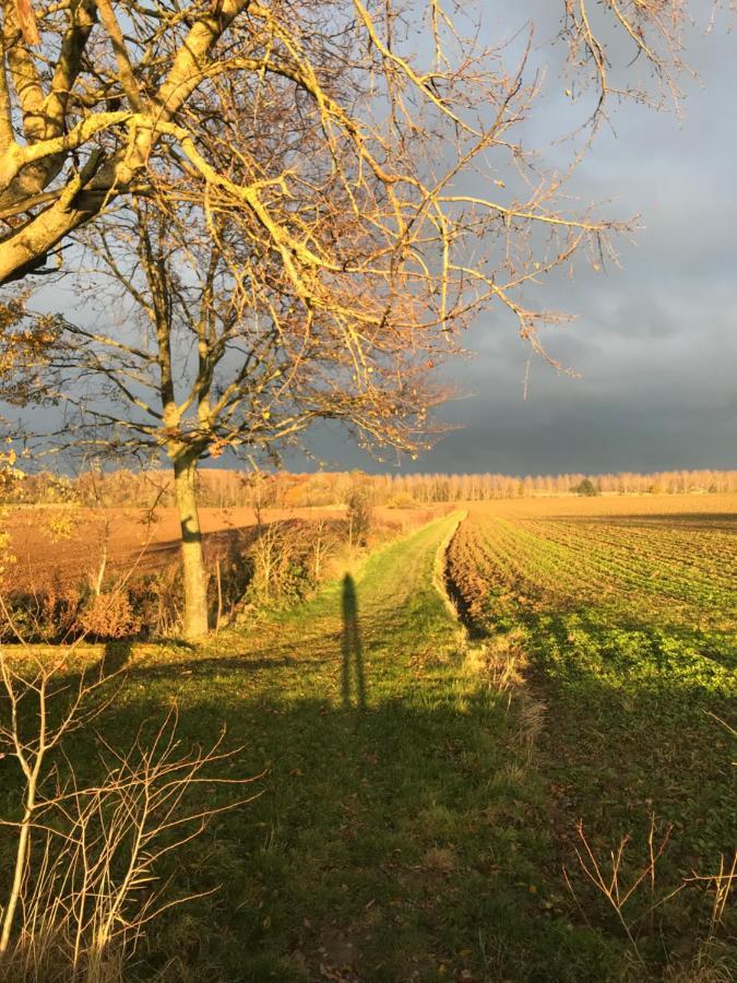 La Suite Cosy - Votre Pause Arboree La Bruyere Exteriör bild