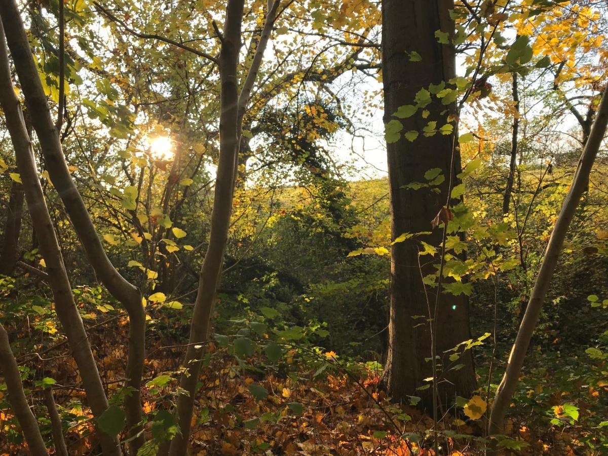 La Suite Cosy - Votre Pause Arboree La Bruyere Exteriör bild
