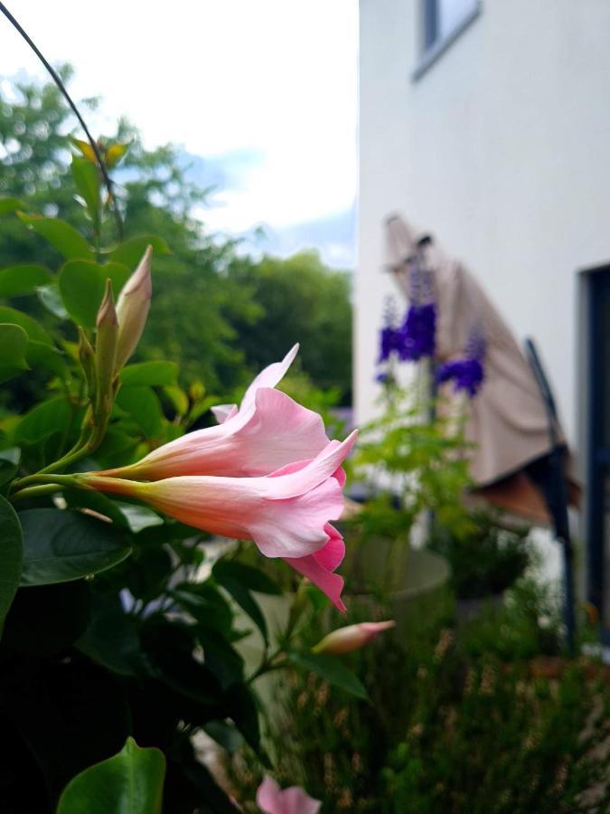 La Suite Cosy - Votre Pause Arboree La Bruyere Exteriör bild