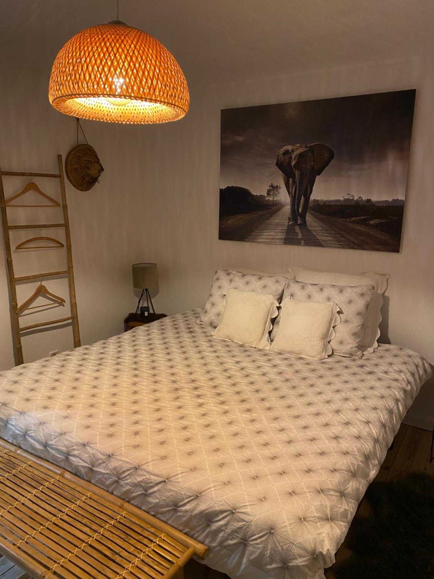 La Suite Cosy - Votre Pause Arboree La Bruyere Exteriör bild